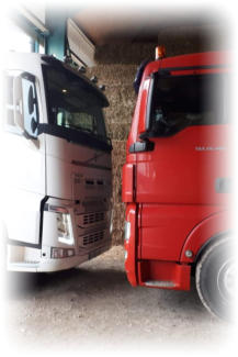 Camions Volvo et Man